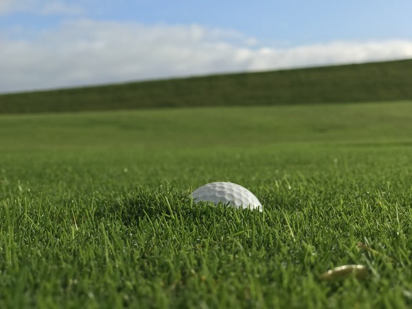 공이 땅에 박히면 프리퍼드 라이 규칙이 적용된다. 하지만 경기력에 영향을 미칠 정도로 진흙이 많이 묻지 않았다는 이유로 USGA는 공을 닦지 못하게 했다.